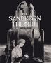 Francois Schuiten: Die Sandkorntheorie, Buch, Buch