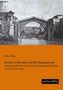 Otto Blau: Reisen in Bosnien und der Herzegowina, Buch