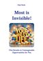 Olaf Huth: Most is Invisible!, Buch