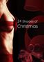 Jennifer Schreiner: 24 Shades of Christmas, Buch