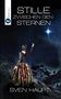 Sven Haupt: Stille zwischen den Sternen, Buch
