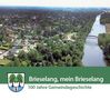 "Brieselang, mein Brieselang. 100 Jahre Gemeinde-geschichte." Luftaufnahme einer grünen Stadt mit Fluss und Brücke. Logo unten links., Buch