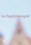 Anne Storch: Im Ziegelplattengrab, Buch