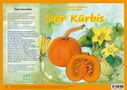 Andreas Fischer-Nagel: Natur-Kamishibai / Der Kürbis - Natur-Kamishibai, Buch