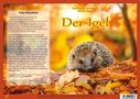 Andreas Fischer-Nagel: Natur-Kamishibai / Der Igel - Natur-Kamishibai, Buch