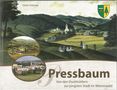 Dieter Halama, Pressbaum. Von den Duckhüttlern zur jüngsten Stadt im Wienerwald. Gemälde mit Landschaft und Dorf., Buch