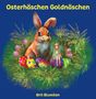 Brit Blumilon: Osterhäschen Goldnäschen, Buch