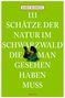Karin Blessing: 111 Schätze der Natur im Schwarzwald, die man gesehen haben muss, Buch, Buch