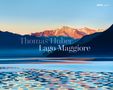 Thomas Huber: Lago Maggiore, Buch