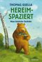 Thomas Gsella: Hereimspaziert, Buch