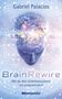 Gabriel Palacios: BrainRewire, Buch