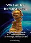 "Wo Götter herabstiegen." Darunter eine kleine goldene Statue vor einem kosmischen Hintergrund., Buch