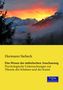 Hermann Siebeck: Das Wesen der ästhetischen Anschauung, Buch