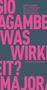 Giorgio Agamben: Was ist Wirklichkeit? Das Verschwinden des Ettore Majorana, Buch