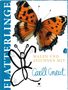 Carll Cneut: Flatterlinge, Buch