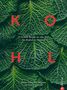 Martin Nordin: Kohl, Buch, Buch