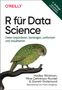 Hadley Wickham: R für Data Science, Buch