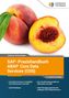 Johannes Gerbershagen: SAP-Praxishandbuch ABAP Core Data Services (CDS), Buch