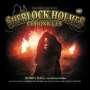 Sir Arthur Conan Doyle: Sherlock Holmes Chronicles (107) Rosies Hall, 2 CDs