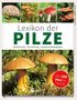 Hans W. Kothe: Lexikon der Pilze - Bestimmung, Verwendung, typische Doppelgänger, Buch