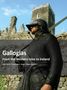 Dave Swift: Galloglass, Buch