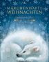 Hans Christian Andersen: Märchenhafte Weihnachten, Buch, Buch