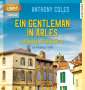 Anthony Coles: Ein Gentleman in Arles - Gefährliche Geschäfte, MP3