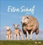 „Extra Schaf 2027“. Ein Schaf und zwei Lämmer stehen auf einer Wiese unter blauem Himmel. "EILAND Kalender"., Kalender