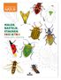 Francois Lasserre: Expedition Natur: Malen, Basteln, Staunen - Insekten, Buch