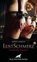 Kathy March: LustSchmerz 2 | Erotischer SM-Roman, Buch