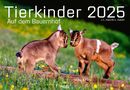 J. -L. Klein: Tierkinder auf dem Bauernhof Kalender 2025, Kalender