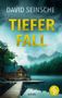 „David Seinsche: Tiefer Fall, Krimi.“ Eine Hütte am See mit Steg, umgeben von Wald und Nebel, im Hintergrund Berge. Logo „dp“., Buch