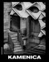 Ruediger Glatz: Kamenica, Buch
