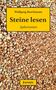 Wolfgang Buschmann: Steine lesen, Buch