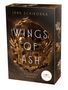 Jana Schikorra: Wings of Ash 1. Schlafende Drachen, Buch