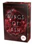 Jana Schikorra: Wings of Ash 2. Flammender Verrat, Buch