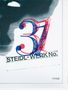 Theseus Chan: STEIDL-WERK No.31: GHOSTS IN THE MACHINE, Buch