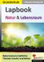 Autorenteam Kohl-Verlag: Lapbook Natur & Lebensraum, Buch