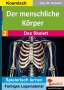 Gary M. Forester: Der menschliche Körper / Band 2: Das Skelett, Buch