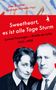 Lyonel Feininger: »Sweetheart, es ist alle Tage Sturm« Lyonel Feininger - Briefe an Julia, Buch