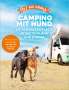 Andrea Lammert: Yes we camp! Camping mit Hund, Buch