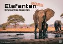 : Elefanten - einzigartige Giganten - 2026 - Kalender DIN A3, KAL