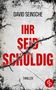 David Seinsche: Ihr seid schuldig, Buch