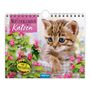 Trötsch Notizkalender Querformat Notizkalender Katzen 2025 mit 12 Postkarten, Kalender