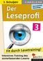 Ulrike Stolz: Der Leseprofi - Fit durch Lesetraining / Klasse 3, Buch