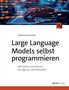 Sebastian Raschka: Large Language Models selbst programmieren, Buch, Buch