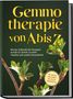 Karin Thiemann: Gemmotherapie von A bis Z: Mit der Heilkraft der Knospen Schritt für Schritt zu mehr Vitalität und starker Gesundheit - inkl. Anleitung zum Eigenanbau & Herstellung von Gemmotherapeutika, Buch