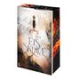 „Sabine Schulter“, „Der Eissklave“, „Die Chroniken von Atulis 4“. Ein Schwert vor eisigen und feurigen Elementen., Buch