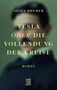 Alida Bremer: Tesla oder die Vollendung der Kreise, Buch