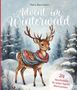 Petra Baumann: Advent im Winterwald, Buch